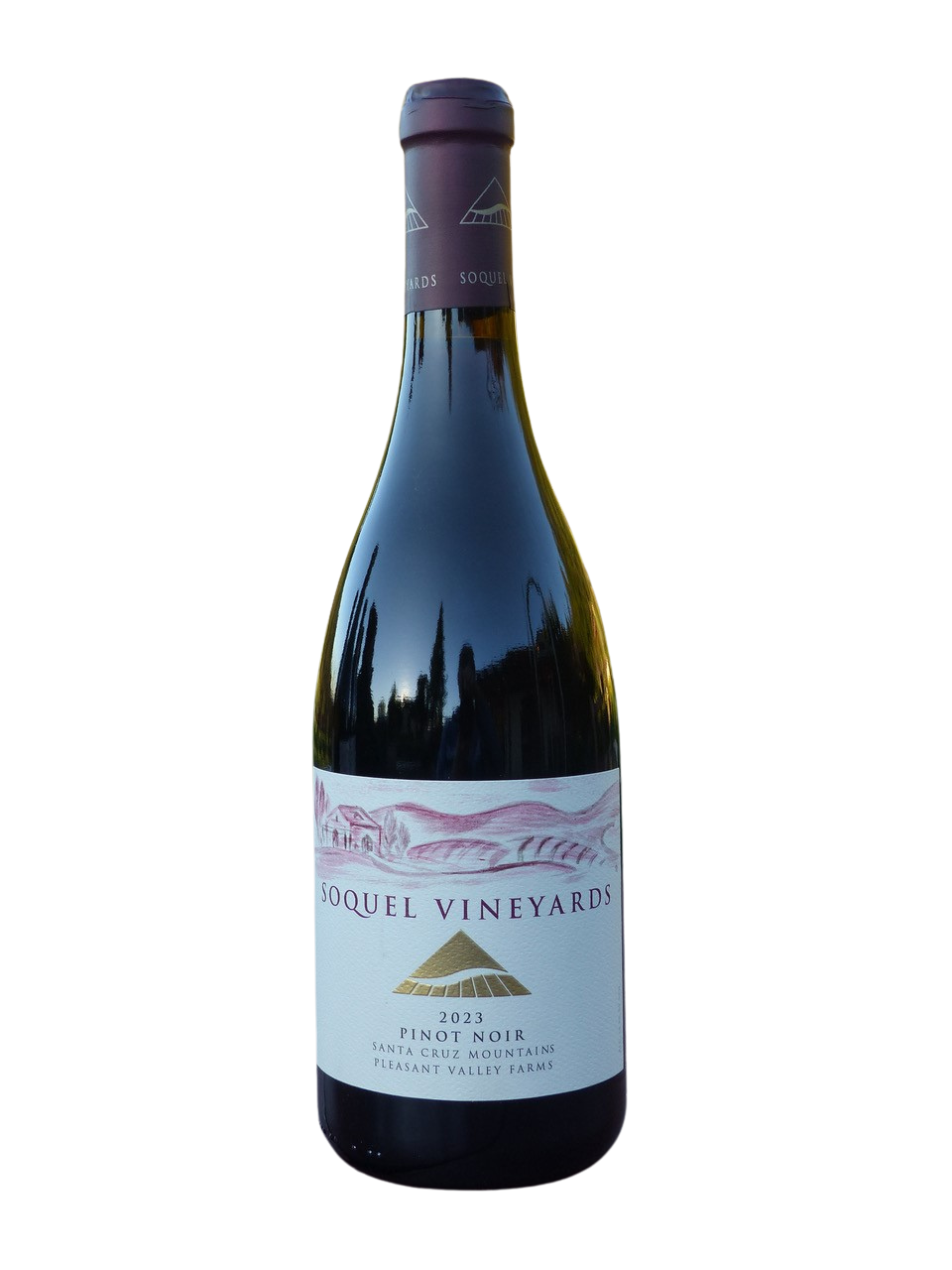 Product Image for 2023 Pleasant Valley Farms Pinot Noir